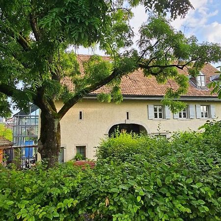 Blue Wall Bnb Gebenstorf エクステリア 写真