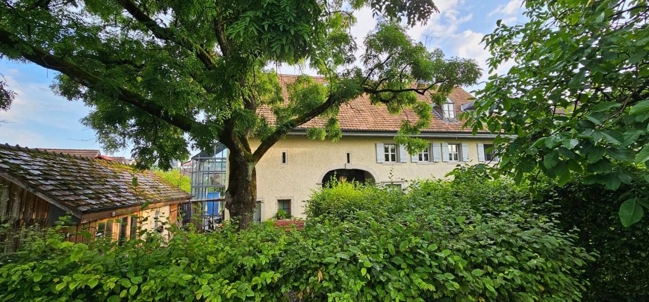 Blue Wall Bnb Gebenstorf エクステリア 写真
