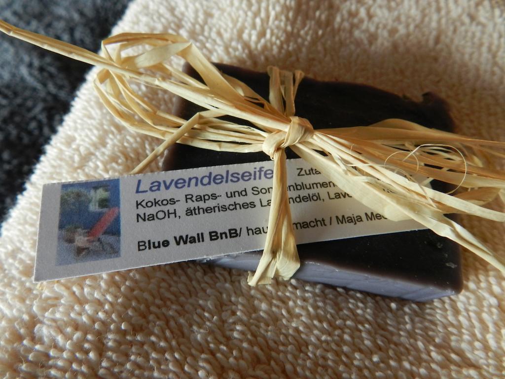 Blue Wall Bnb Gebenstorf エクステリア 写真