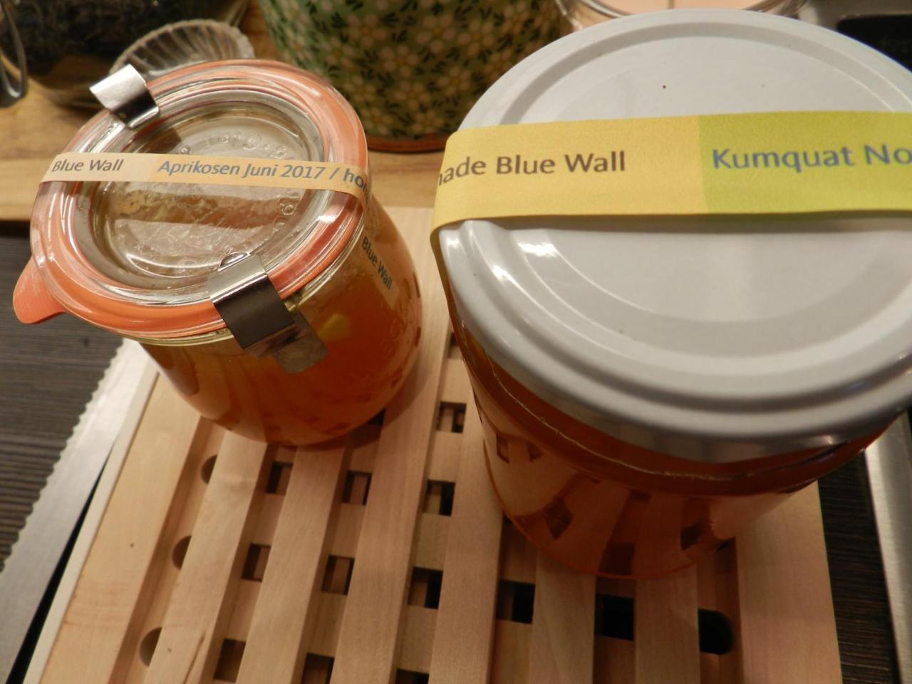 Blue Wall Bnb Gebenstorf エクステリア 写真