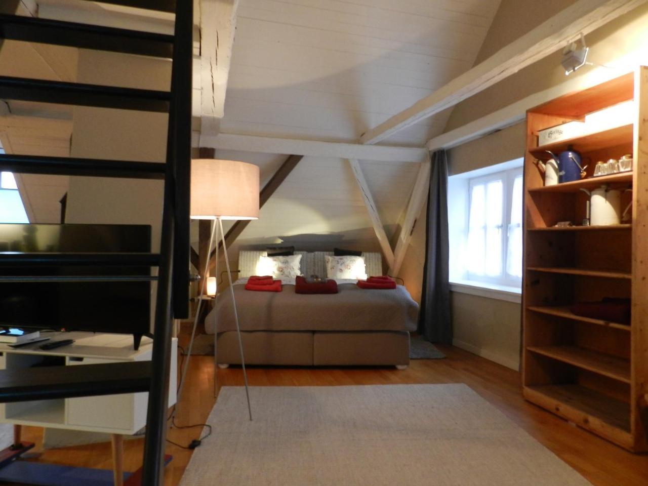 Blue Wall Bnb Gebenstorf エクステリア 写真