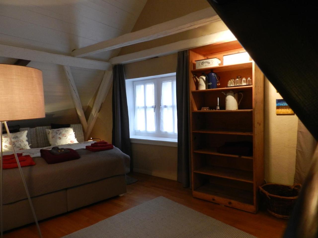 Blue Wall Bnb Gebenstorf エクステリア 写真
